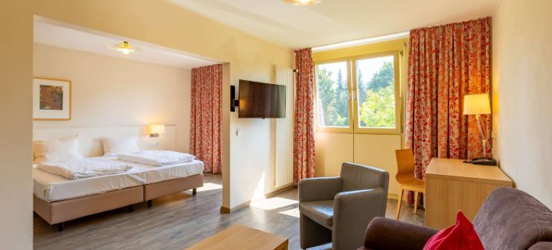 杜尔巴赫黑森林多林特酒店(Dorint Hotel Durbach/Schwarzwald)图片