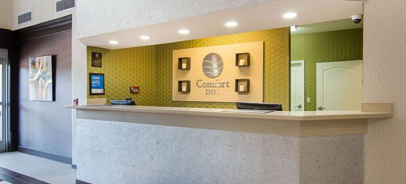 肯顿舒适酒店(Comfort Inn Camden)图片