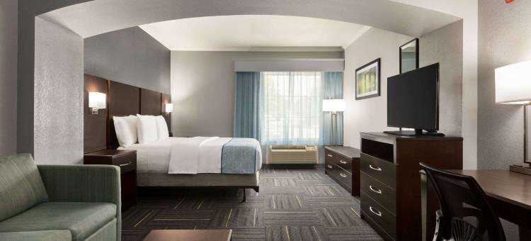 都柏林拉昆塔温德姆套房酒店(La Quinta Inn & Suites by Wyndham Dublin)图片