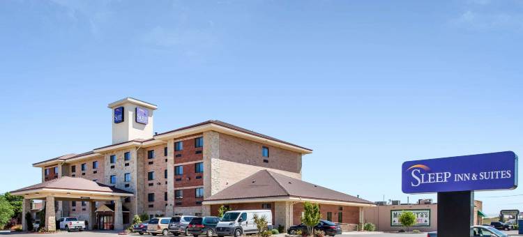 拉伯克舒眠套房酒店(Sleep Inn & Suites)图片