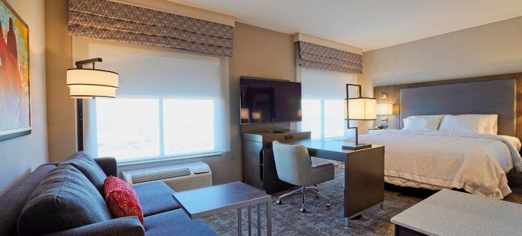 拉伯克大学欢朋套房酒店(Hampton Inn & Suites by Hilton Lubbock University)图片