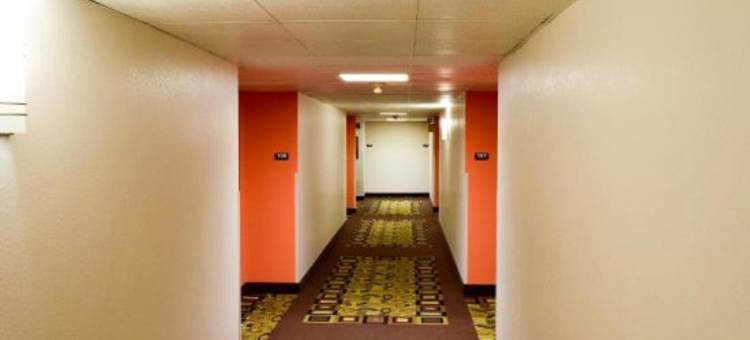 斯普林菲尔德OH6号汽车旅馆(Motel 6 Springfield, Oh)图片