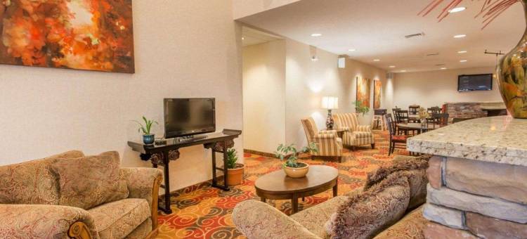 舒适套房酒店(Comfort Suites)图片