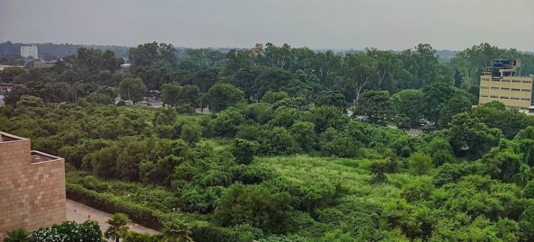 昌迪格凯悦酒店(Hyatt Regency Chandigarh)图片