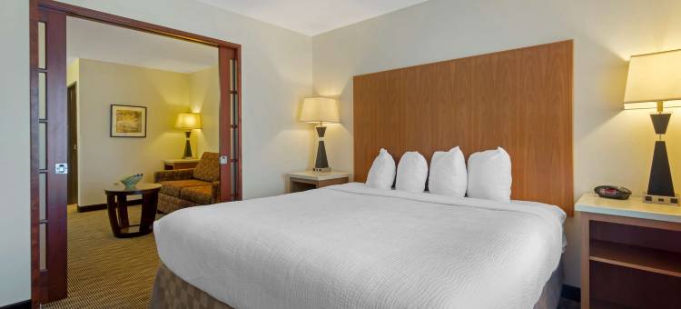 奇黑利斯公园贝斯特韦斯特优质套房酒店(Best Western Plus Park Place Inn  Suites)图片