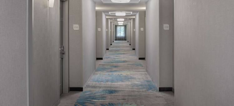 DFW机场南希尔顿花园酒店(Hilton Garden Inn DFW Airport South)图片