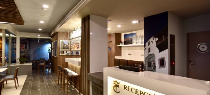 多纳路易莎TC酒店(TC Hotel Doña Luisa)图片