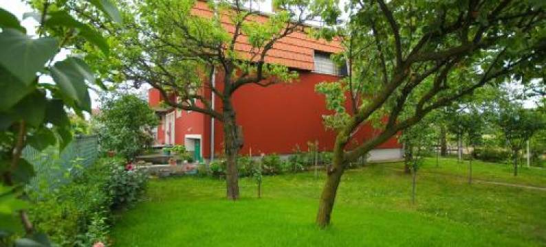 Premier Apartments图片