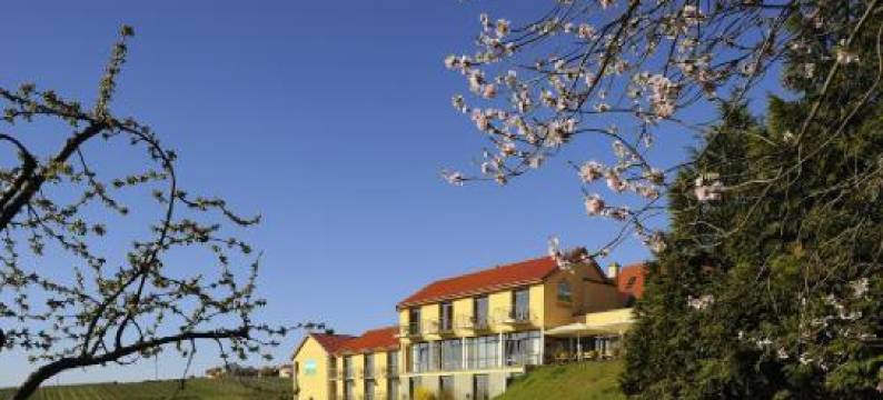 阿尔特瑞比斯查勒霍弗酒店(Wohlfühlhotel Alte Rebschule)图片