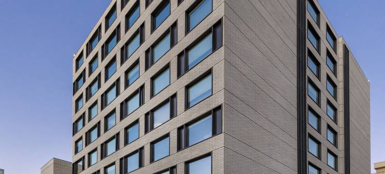 圣迭戈普罗维登西亚欧拉酒店 - 希尔顿启缤精选酒店(Ola Santiago Providencia, Tapestry Collection by Hilton)图片