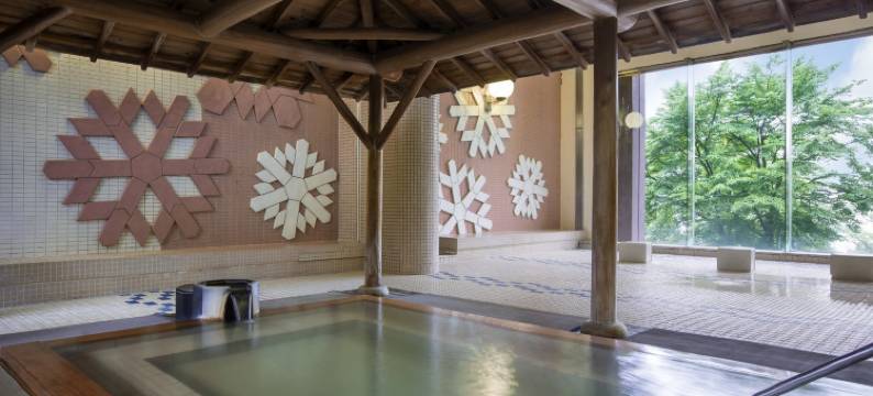 第一滝本馆(Dai-ichi Takimotokan)图片