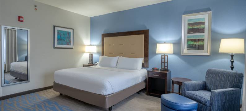 爱德华兹维尔智选假日套房酒店(Holiday Inn Express & Suites EDWARDSVILLE by IHG)图片