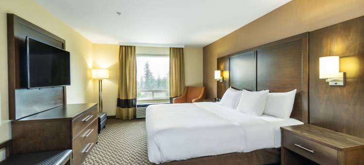 舒适套房酒店(Comfort Inn & Suites)图片