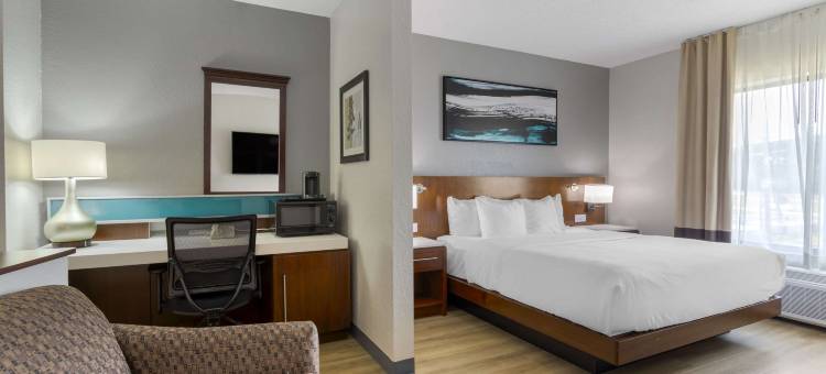 柯达塞维尔舒适套房酒店(Comfort Suites Kodak Sevierville)图片