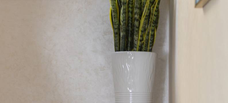 挽心小霞度假别墅图片