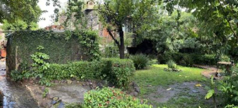 阿西西的Mangos之家(La Casa de Los Mangos Ajijic)图片