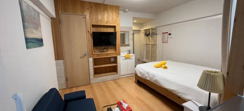 神乐坂罗兹酒店(Rhodes Kagurazaka Hotel)图片