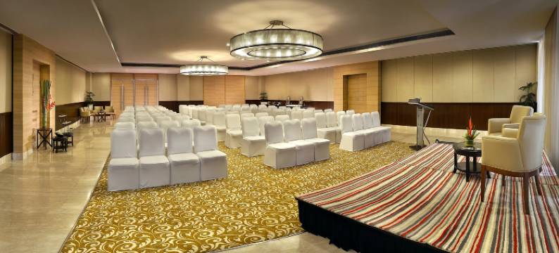 新德里机场大道福朋喜来登酒店(Four Points by Sheraton New Delhi, Airport Highway)图片