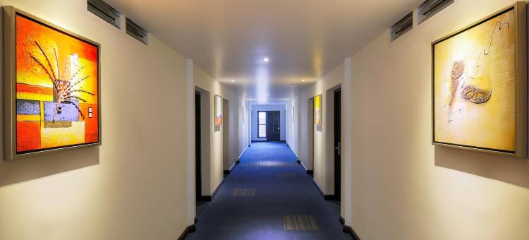 Treebo Trend Adrak图片