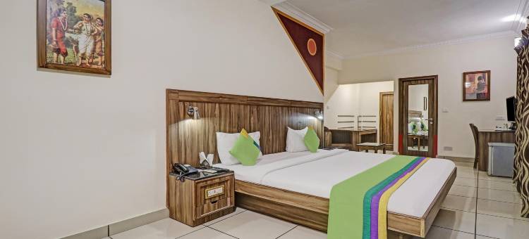 Treebo Komfort 套房酒店，距离迈索尔皇宫3公里(Treebo Komfort Suites, 3 Km from Mysore Palace)图片