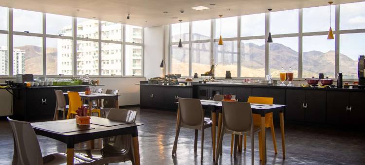 宜必思尚品特雷斯里奥斯酒店(Ibis Styles Tres Rios)图片