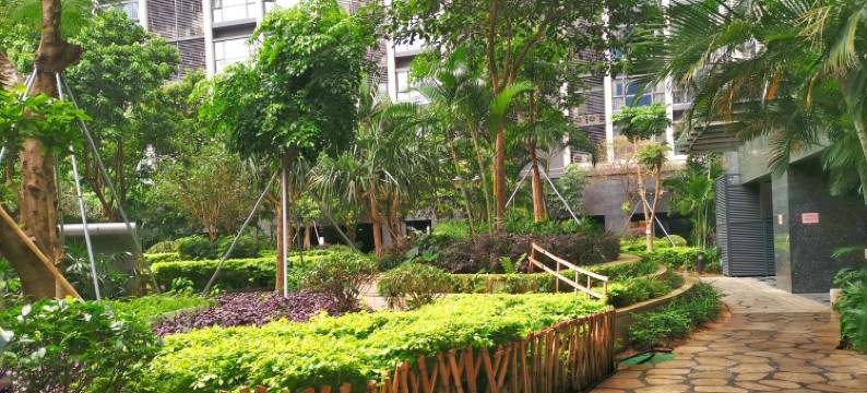 碧海秋月公寓(南山大道分店)图片