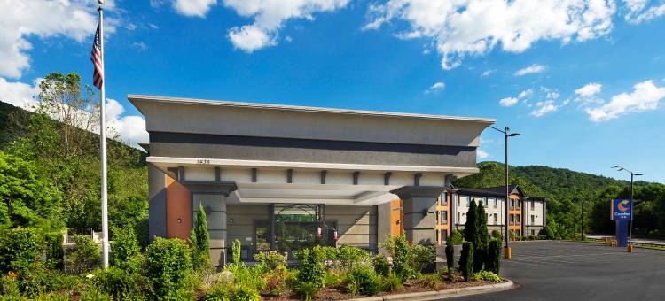 阿什维尔东-蓝岭山行车通道舒适酒店(Comfort Inn Asheville East-Blue Ridge Pkwy Access)图片