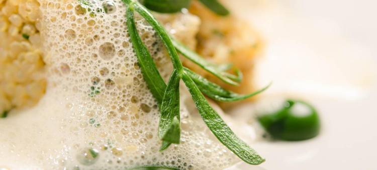 温甘狗狗酒店(The Dog at Wingham)图片