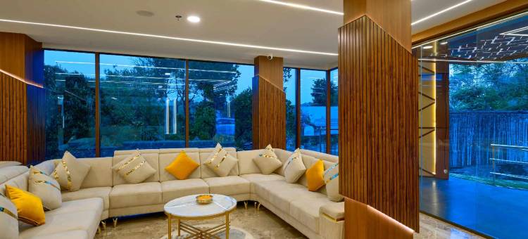 Serene Horizon图片