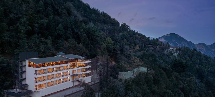慕苏里的jüSTa圆形橡木(Justa Hollow Oak, Mussoorie)图片
