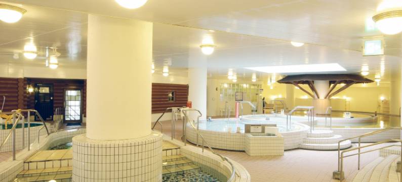 札幌朵蕾丝水疗度假酒店(Chateraise Gateaux Kingdom Sapporo Hotel & Spa Resort)图片