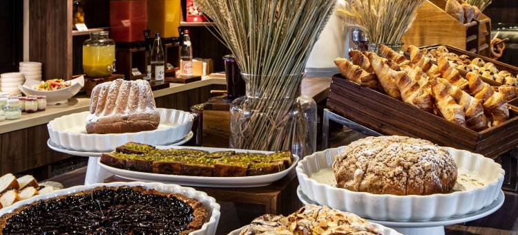 斯特拉斯堡格兰特艾尔索菲特酒店(Sofitel Strasbourg Grande Île)图片