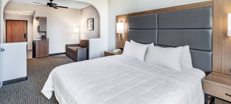 休斯顿布希国际机场蔚景温德姆酒店(Wingate by Wyndham Houston Bush InterContinental Airport)图片