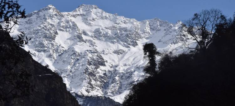 绿叶步道度假村(Leafwalk Resort)图片