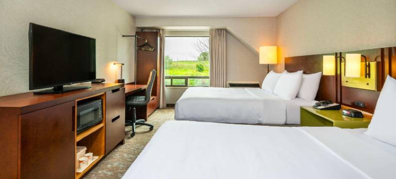 舒适酒店(Comfort Inn)图片