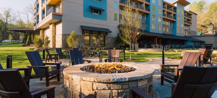 Gatlinburg 希尔顿合博套房酒店(Embassy Suites by Hilton Gatlinburg Resort)图片