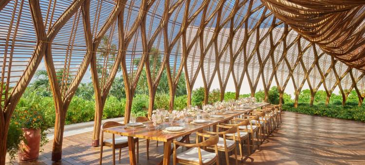 卡奈里维埃拉玛雅艾迪逊酒店(The Riviera Maya Edition at Kanai)图片