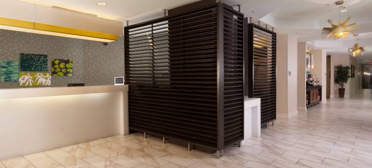 奥兰多会议中心／国际大道区万豪SpringHill酒店(SpringHill Suites Orlando Convention Center/International Drive Area)图片