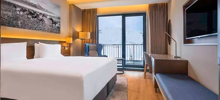 Sky Erciyes酒店，丽祺精选(Sky Hotel Erciyes, a member of Radisson Individuals)图片
