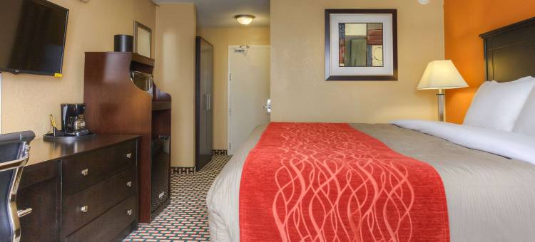 品质酒店及套房查塔努加-东岭(Quality Inn & Suites Chattanooga-East Ridge)图片