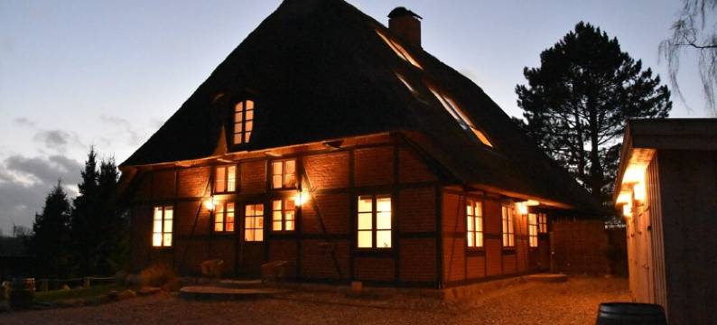 Dannau Reetkate图片