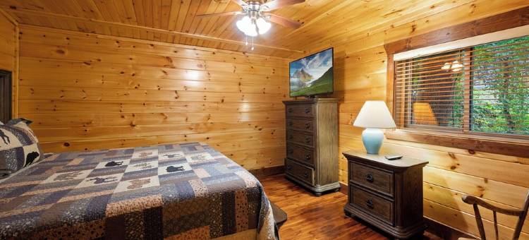 Charming Log Cabin Escape! 4 King beds, Min to Gatlinburg, Frequent bear visits!图片