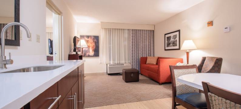 威廉斯堡里士满路欢朋套房酒店(Hampton Inn & Suites Williamsburg-Richmond Road)图片