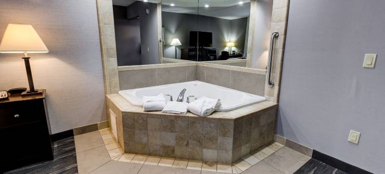 布兰特福德希尔顿欢朋套房酒店(Hampton Inn & Suites by Hilton Brantford Conference Centre, on)图片