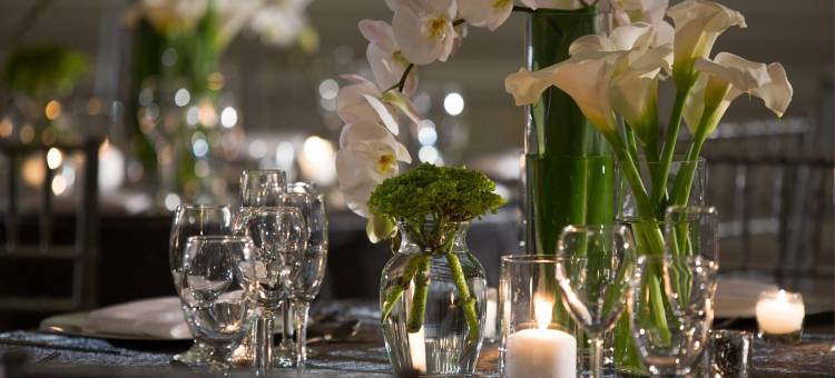 梅多兰兹万丽酒店(Renaissance Meadowlands Hotel)图片