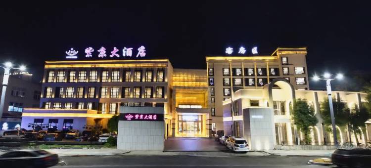 平阳紫京大酒店图片