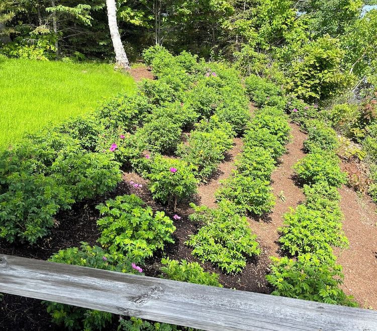 Cabin with ocean views, minutes from Acadia and Bar Harbor Hotel Overview