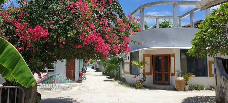 马尔代夫海滩乐园-海洋氛围旅馆(Beach Heaven Maldives - Golden Turtle Guest House)图片