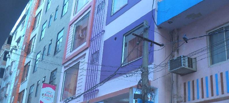 提卡纳宫酒店(Hotel Thikana Palace)图片