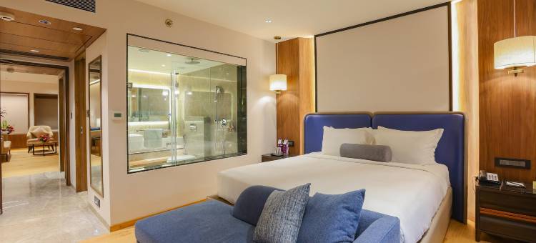 浦那荣耀酒店(Pride Hotel Pune)图片